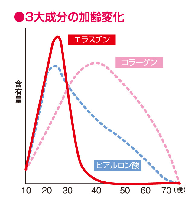 エラスチン