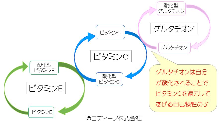 ビタミンＣ,グルタチオン,酸化還元